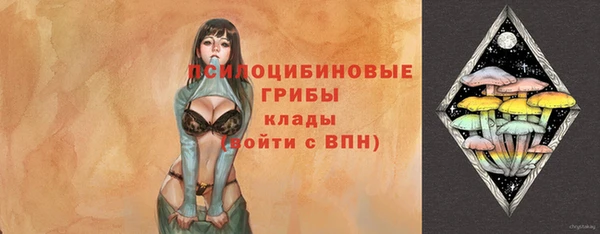 бошки Абинск