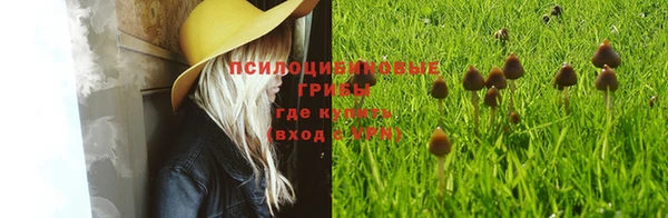 кристаллы Абаза
